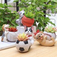 Sporty Dog Succulent Planter - Image 3