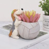 Sporty Dog Succulent Planter - Image 4