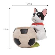 Sporty Dog Succulent Planter - Image 6