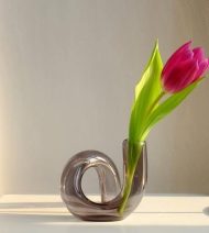In the Loop Hydroponic Vase - Image 17
