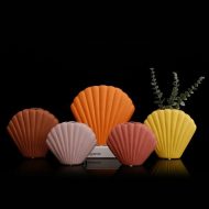Colorful Seashell Vase - Image 3