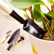 Indoor Garden Tool Set - Image 7