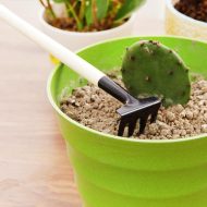 Indoor Garden Tool Set - Image 5
