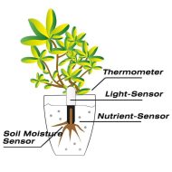 Smart Plant Water Meter and Health Sensor - Image 10
