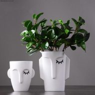 Abstract Face Vases