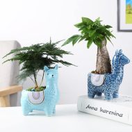 Alpaca Ceramic Succulent Planter - Image 2