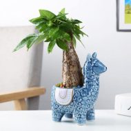 Alpaca Ceramic Succulent Planter - Image 10