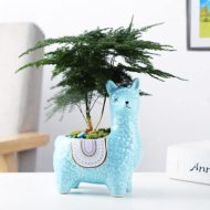 Alpaca Ceramic Succulent Planter - Image 8