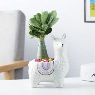 Alpaca Ceramic Succulent Planter - Image 11