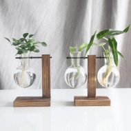 Glass Propagation Vase with Vertical Wooden Stand - Image 15