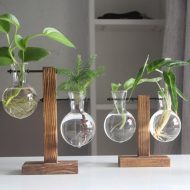 Glass Propagation Vase with Vertical Wooden Stand - Image 6