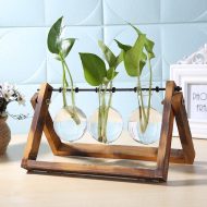 Glass Propagation Vase with A-Frame Wooden Stand