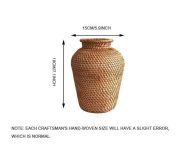 Rattan Hand Woven Vase - Image 12
