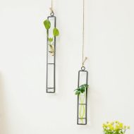 Hanging Iron Propagation Terrarium Vases - Image 6