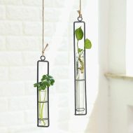 Hanging Iron Propagation Terrarium Vases - Image 2