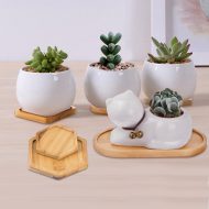 Natural Bamboo Planter Saucer Trays - Image 4