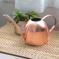 Gooseneck Dome Stainless Steel Watering Can - Image 2