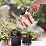 Gooseneck Dome Stainless Steel Watering Can - Image 7