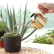 Gooseneck Dome Stainless Steel Watering Can - Image 10