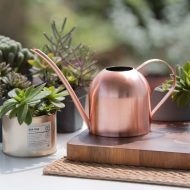 Gooseneck Dome Stainless Steel Watering Can - Image 11