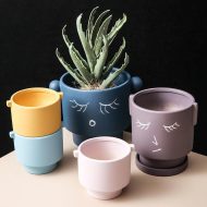 DIY Doodle Ceramic Planters - Image 3