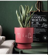 DIY Doodle Ceramic Planters - Image 8