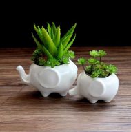 Ceramic Elephant Succulent Planter - Image 2