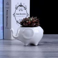 Ceramic Elephant Succulent Planter - Image 6