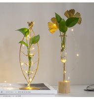 Gold Flora Metal and Glass Test Tube Propagation Vase - Image 12