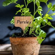 Blank Wooden Plant Label Signs - Image 7