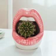 Pucker Up Lips Ceramic Planter - Image 6