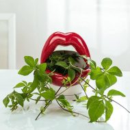 Pucker Up Lips Ceramic Planter - Image 5