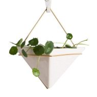Geometric Hanging Terrarium - Image 4