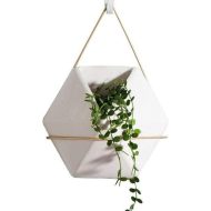 Geometric Hanging Terrarium - Image 3
