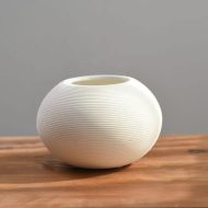 Simplicity in White Vase - Image 12
