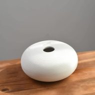 Simplicity in White Vase - Image 11