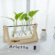 Glass Propagation Vase with A-Frame Wooden Stand - Image 17