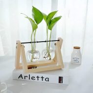 Glass Propagation Vase with A-Frame Wooden Stand - Image 21