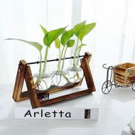 Glass Propagation Vase with A-Frame Wooden Stand - Image 16