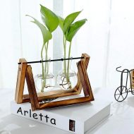 Glass Propagation Vase with A-Frame Wooden Stand - Image 18