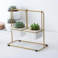 Succulent Swing Planter