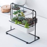 Succulent Swing Planter - Image 5