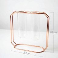 Geometric Floating Iron and Glass Propagation Vase - Image 10