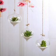 Hanging Glass Ball Terrarium Vase - Image 3