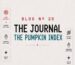 BLOG Nº 20 — The Journal by SageandSilky: pumpkin crochet pattern easy